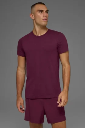 Triumph Tişört - Bordo