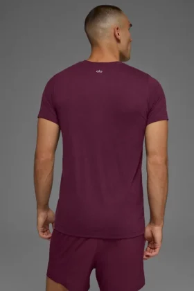 Triumph Tişört – Bordo